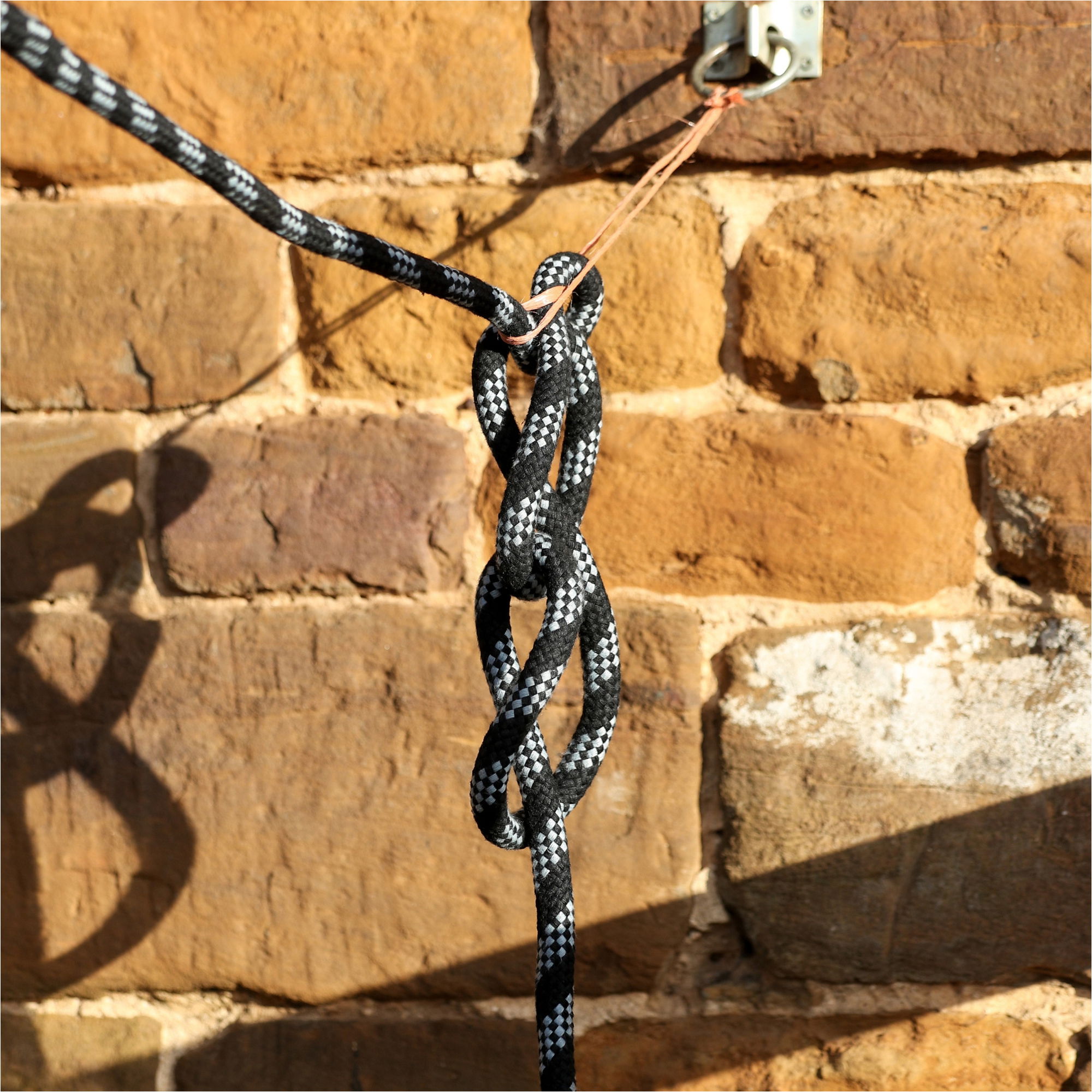 2026 Equilibrium Stellar Saftey Leadrope 32309 - Black